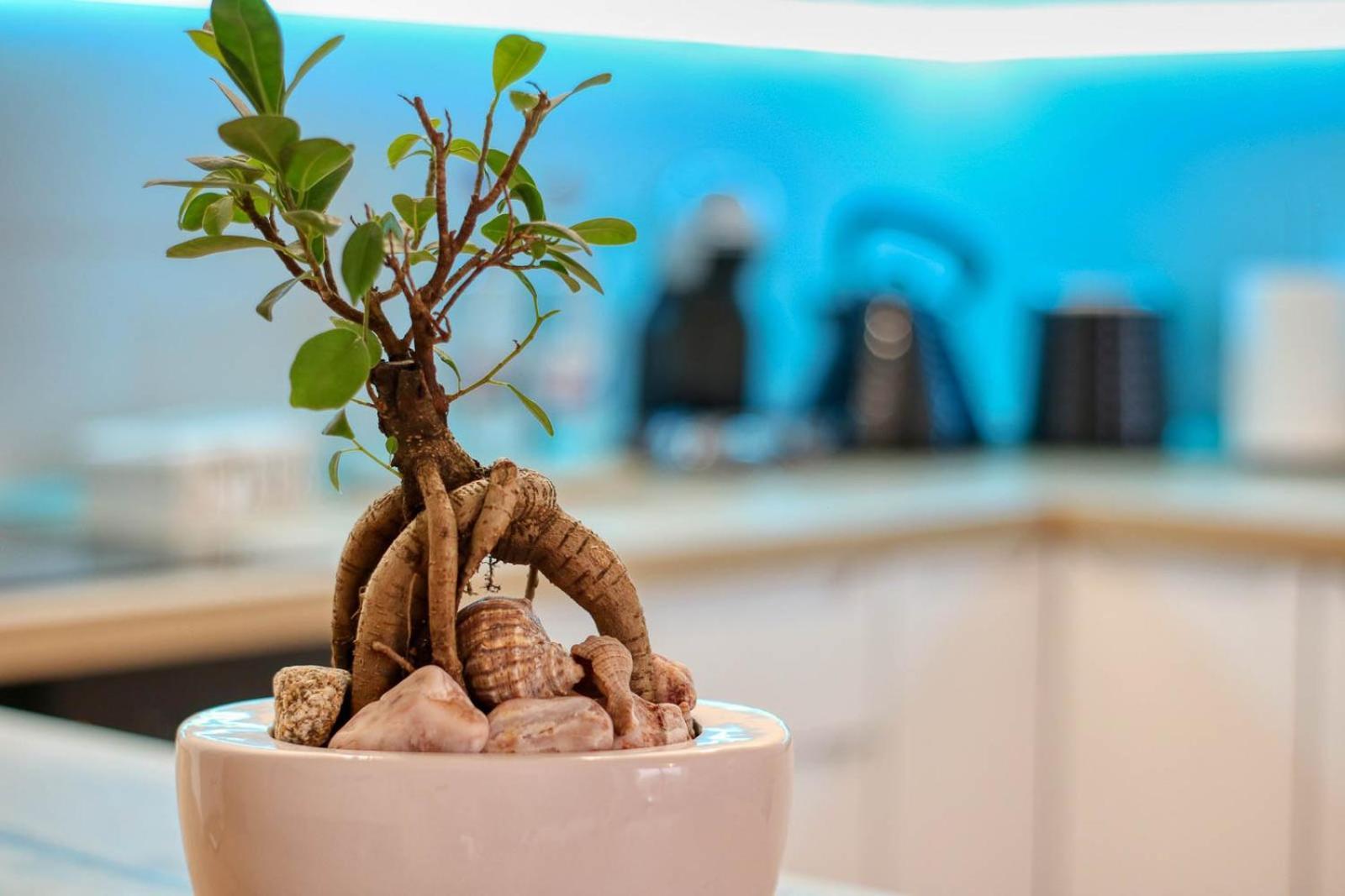 Relaxation Station - My Charming, Cosy&Inviting Apt - Smart Thermostat - Private Parking - Ior Park - Long Term Price Cuts Bukares Bagian luar foto